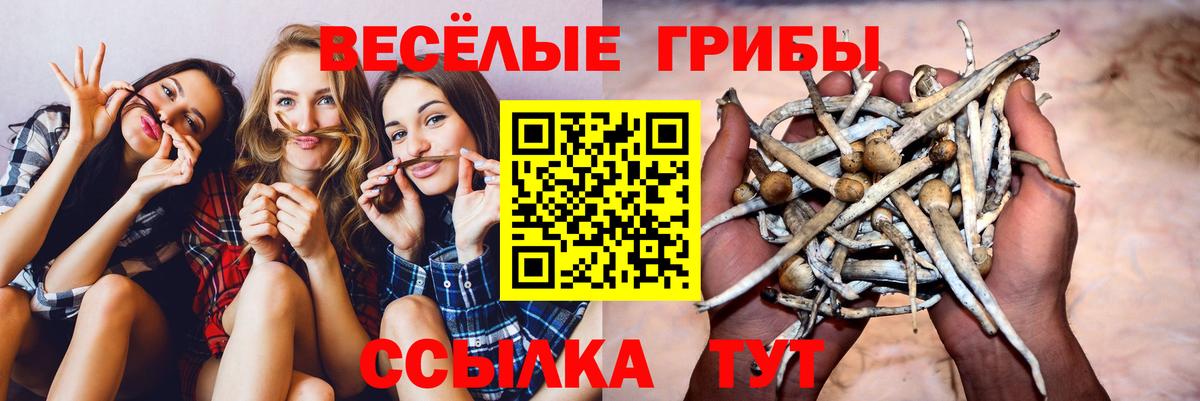 Галлюциногенные грибы MAGIC MUSHROOMS Апрелевка
